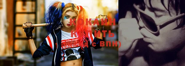 дживик Баксан