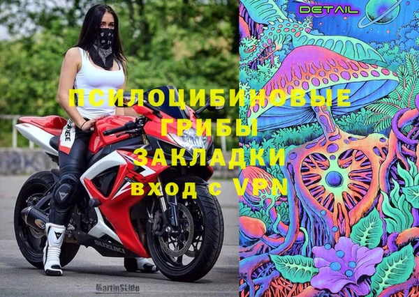 дживик Баксан