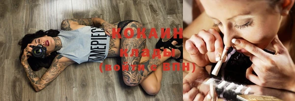 дживик Баксан