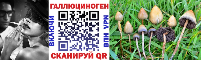 что такое наркотик  Шацк  Галлюциногенные грибы ЛСД 